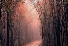 雷速体育：全国逾千名中小学生在吉林雪上竞技2025-02-11.