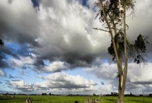 国际乒联宣布成立工作组 解决球员关切 WTT：支持！央视新闻客户端.