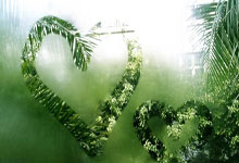 几家欢乐几家愁——2024-2025中国女子排超联赛队员观感之十二.